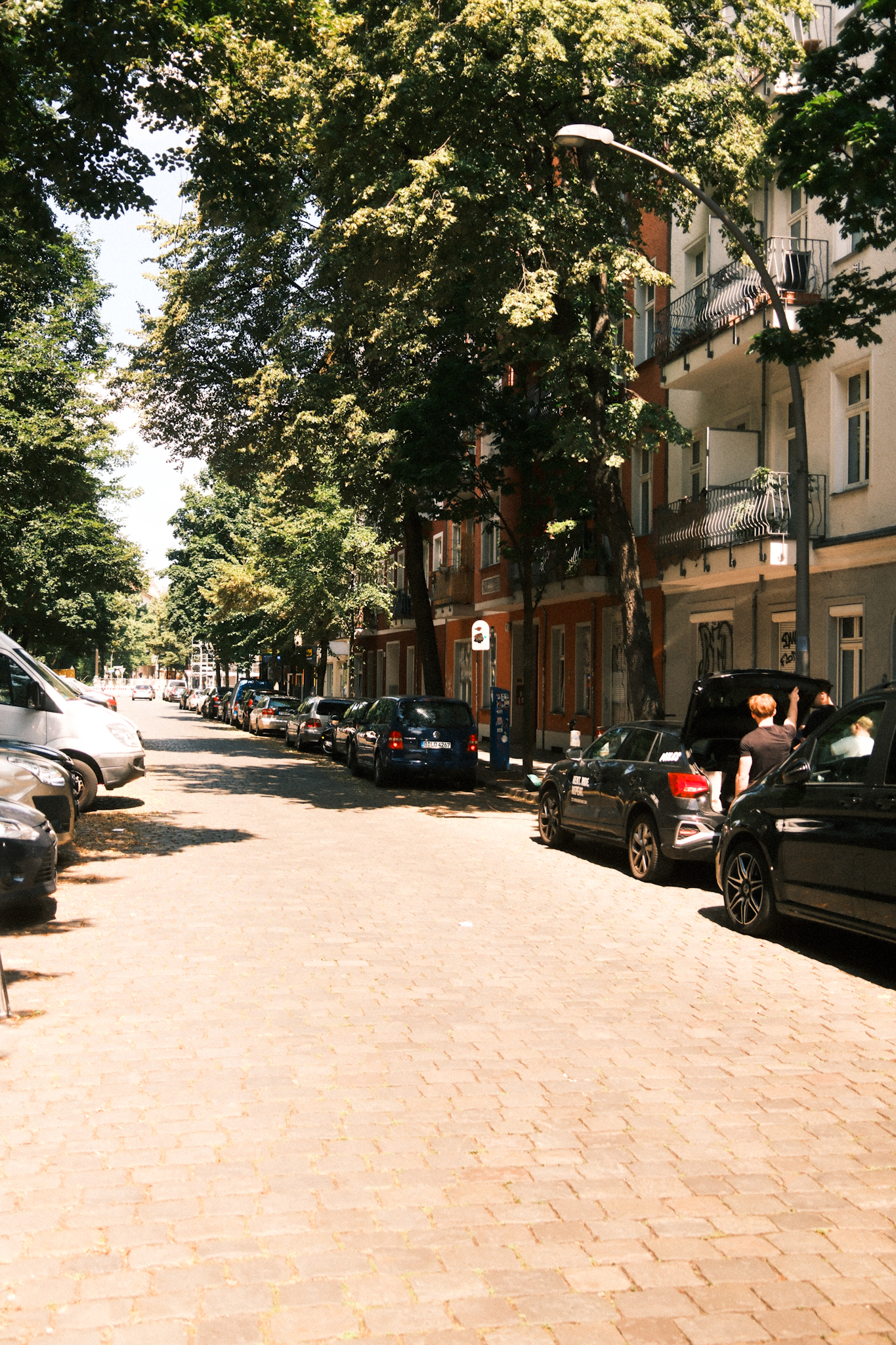 BONNIE GRYPH by Marc Moudí-22